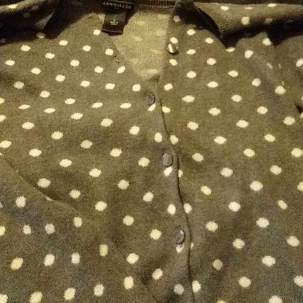 Ann Taylor sweater